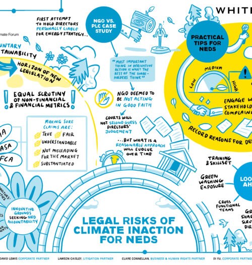 Legal risks of climate inaction