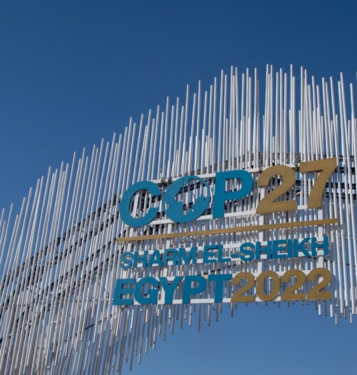 Chapter_Zero_What_happened_at_COP27_and_what’s_next_for_business