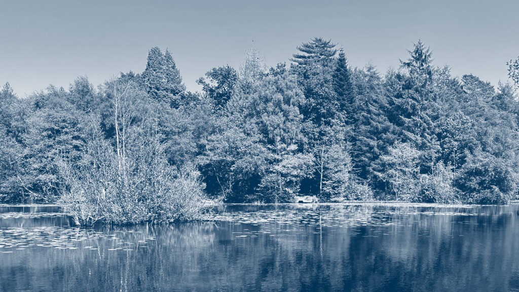 Spotlight Nature Chapter Zero