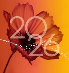 Spotlight: Chapter Zero's member programme 2026 - Chapter Zero
